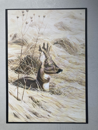 British wildlife print - :,