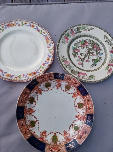 Plates indian tree - plates.,