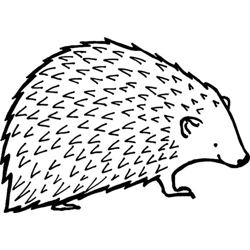 Hedgehog unmounted rubber - 'hedgehog',