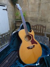 Washburn EA27 Greg Allman Signature