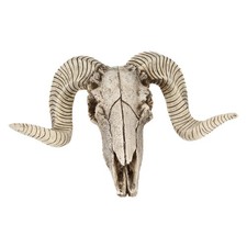 Craftwork Ram Sheep Head Skull