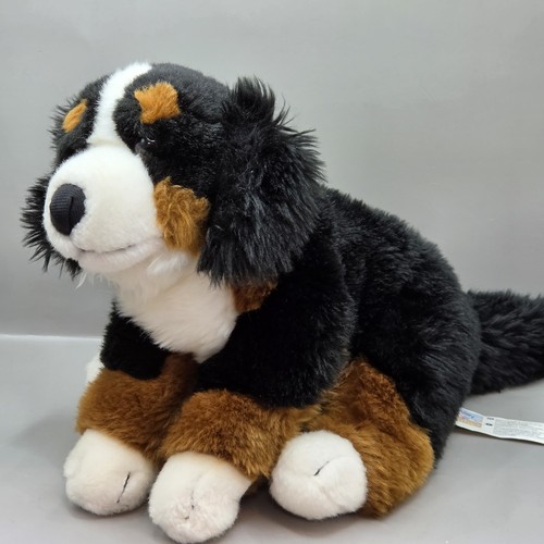 Animal alley bernese mountain - animal,