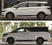 Pair Car Sticker Decal Trim