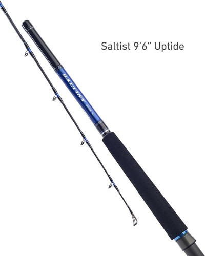 Daiwa saltist 9ft uptide - saltist, 6"