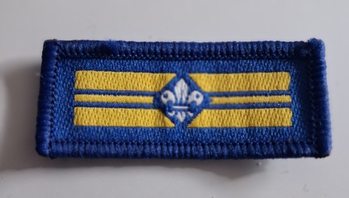 Senior patrol leader scout - patrol,