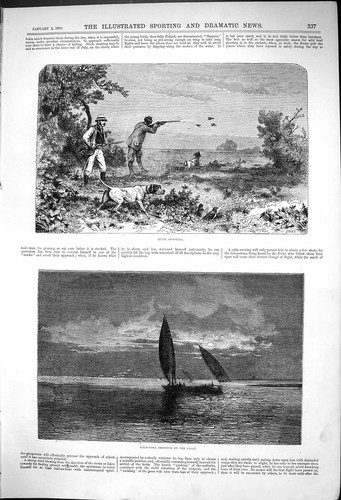 Antique old print quail - antique,