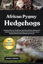 African Pygmy Hedgehogs