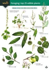 Foraging: Top 25 Edible Plants (WildID)