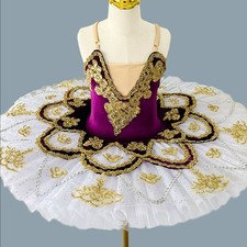 Professional Ballet Tutu Girls