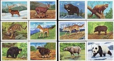 👉 BHUTAN 1990 HIMALAYAN