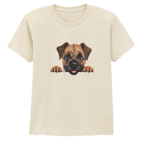 Border terrier puppy - border,