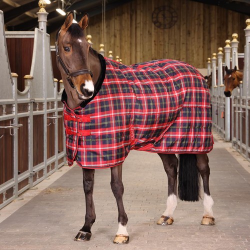Shires tempest plus 200g - tempest,