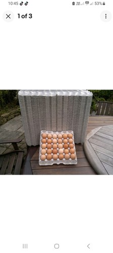 140 grey cardboard egg trays - 140,