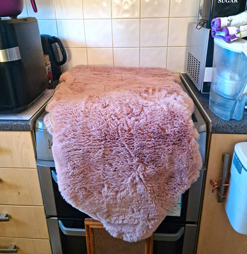 Next plush fur rug - fur,