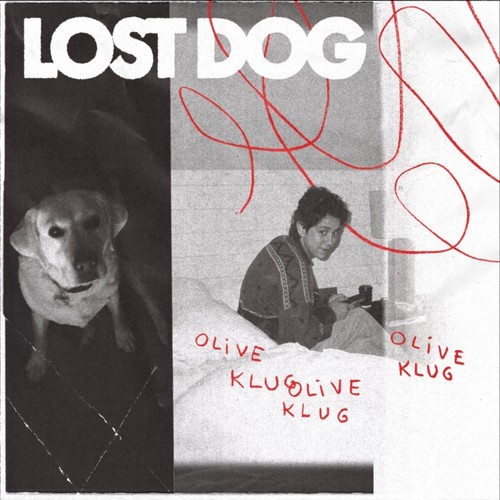 Lost dog - lost,