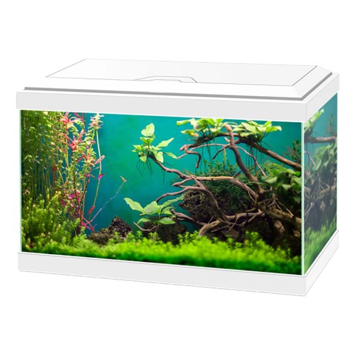 Ciano aqua classic - ciano,