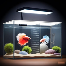 3 Gallon Nano Glass Aquarium
