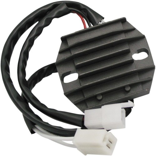 Rick motorsport electric - motorsport, oem
