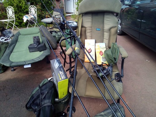 Carp fishing job - carp,