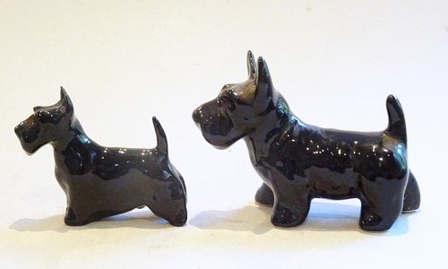 Scottish terrier scottie black - scottish,