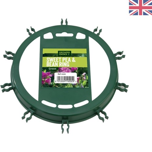 Green sweet pea - pea, &