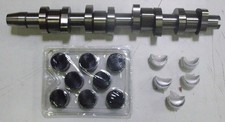 VW TDI Camshaft Lifters