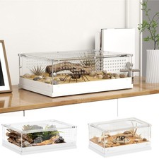 Reptile terrarium acrylic - reptile,
