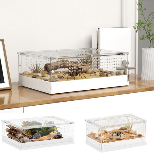 Reptile terrarium acrylic - reptile,