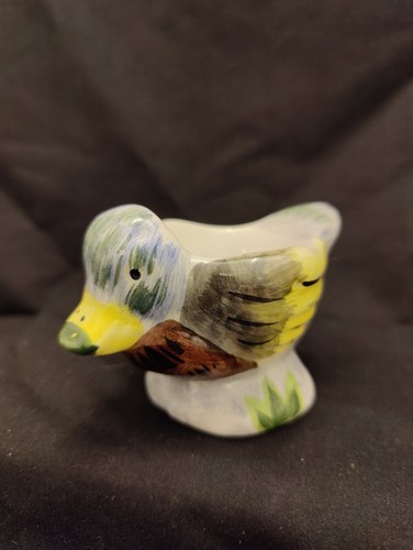 Mallard duck novelty - duck,