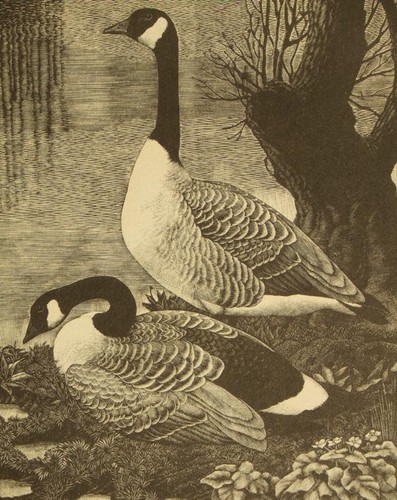 After charles tunnicliffe - after,
