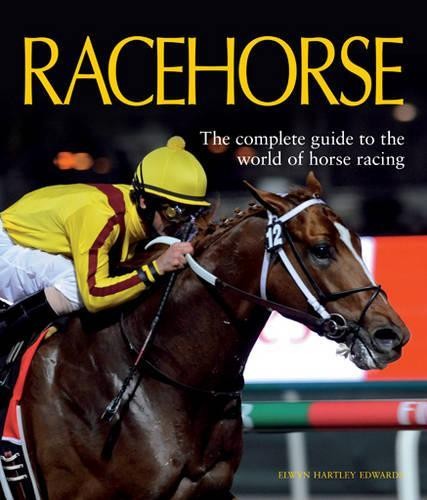 Racehorse elwyn - racehorse, by