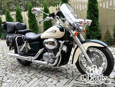 Honda Shadow VT750 C2 & ACE