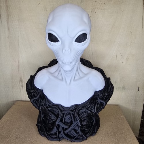 Grey alien bust with black - alien,