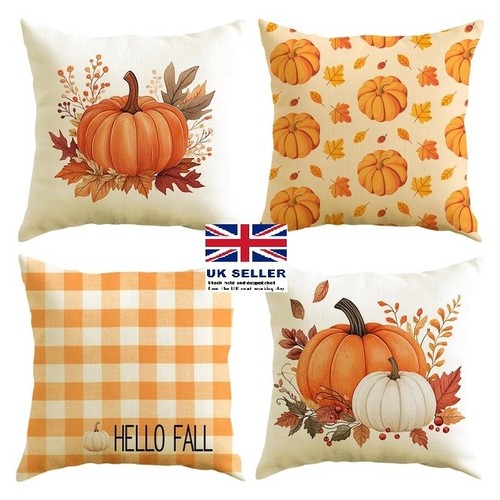 Set fall pumpkin - fall,