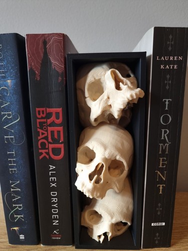Skulls gothic book nook - gothic, |