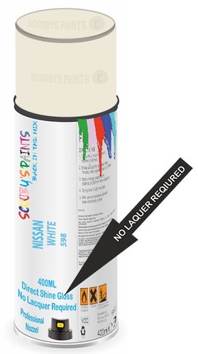 Direct shine paint - paint, spray