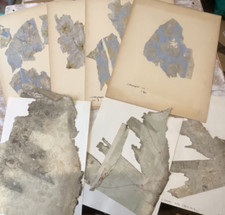 1861 Victorian Wallpaper Fragments 23 Pieces Interior Design Decor 19th century