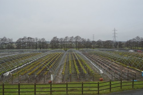 Photo 6x4 uncovered - photo,