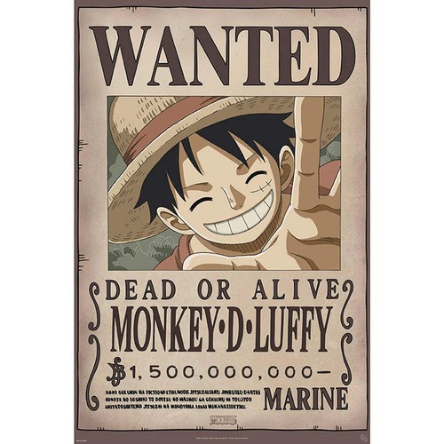 One piece wanted - wanted, new