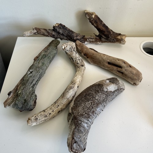Gnarled branch driftwood - 5,