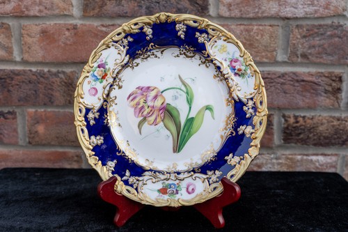 19th century coalport blue - 19th, and