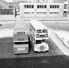 BUS NEGATIVE: LEON FINNINGLEY