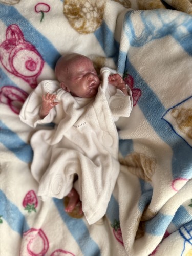 Premature reborn baby - reborn,