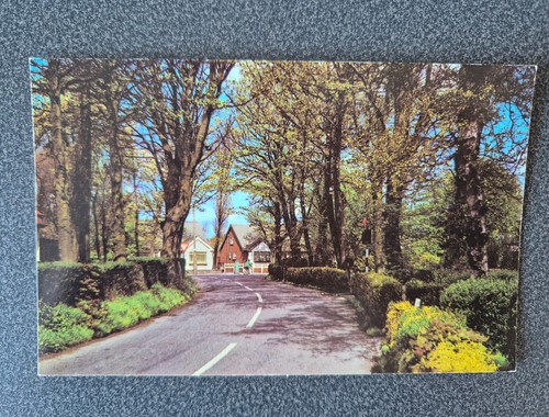 School thornton cleveleys - school,