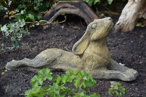 Reclining moon gazing - gazing, hare