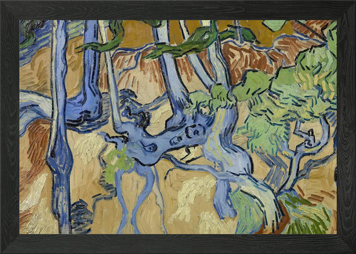 Roots and tree trunks framed - and,