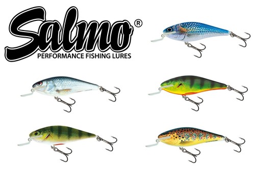 Salmo executor shallow runner - executor,