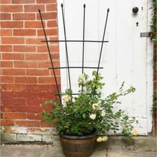 Garden gear fan trellis - garden,
