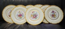 Paragon Golden Harvest Style Cabinet Plates Set Of 8 Luncheon Botanical Floral!