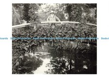 D246165 Anonyme Claude Monet a Giverny Collection Magie Noire Hazan